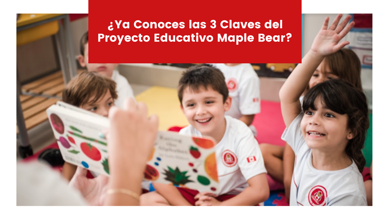 You are currently viewing ¿Ya Conoces las 3 Claves del Proyecto Educativo Maple Bear?