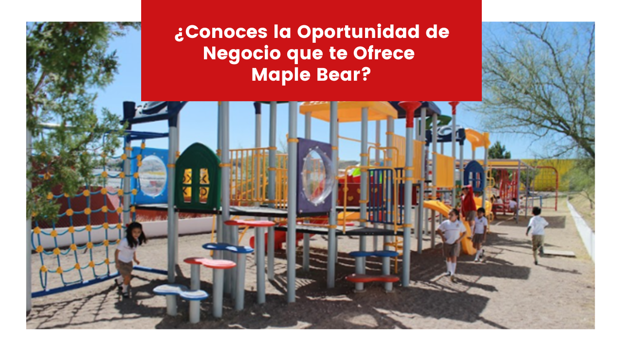Read more about the article ¿Conoces la Oportunidad de Negocio que te Ofrece Maple Bear?
