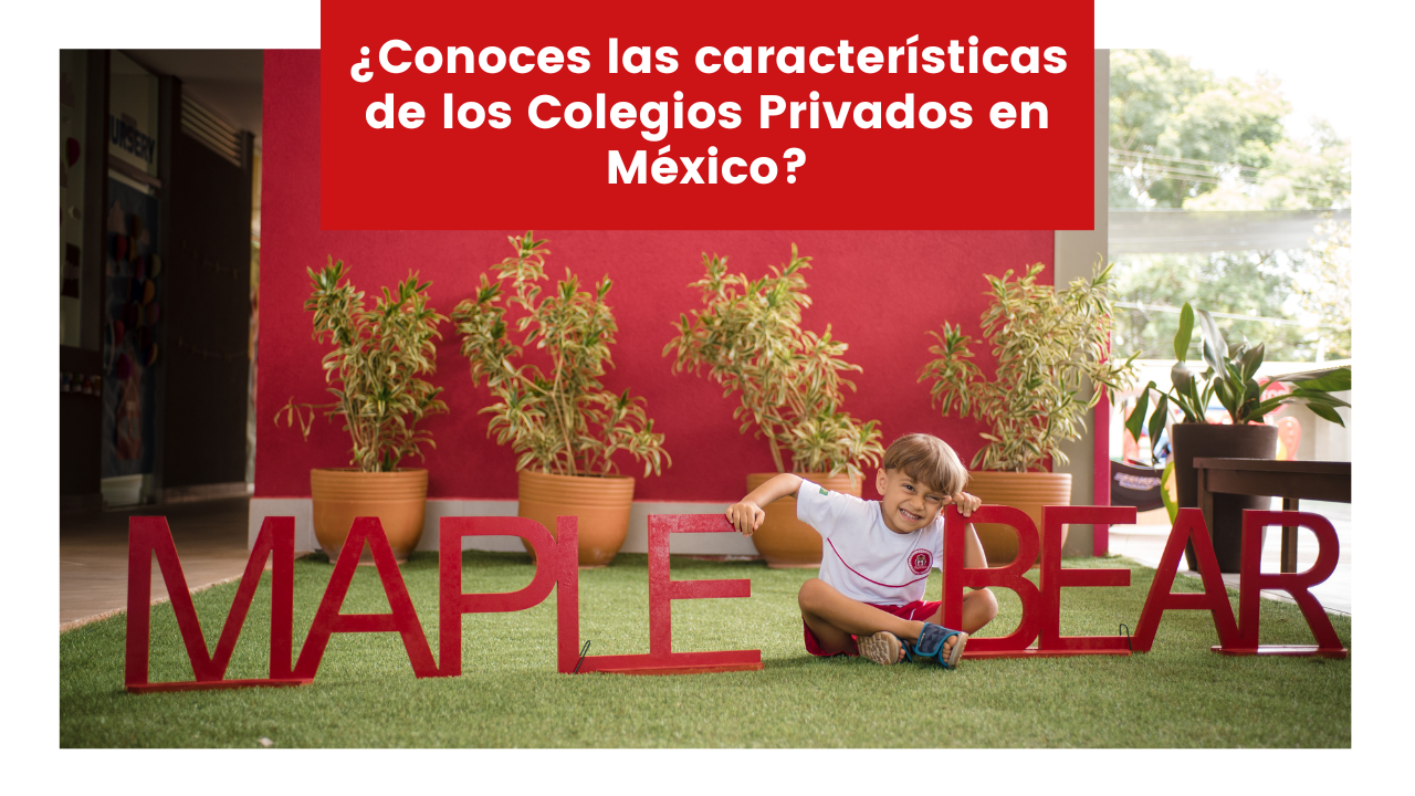 Read more about the article ¿Conoces las características de los Colegios Privados en México?