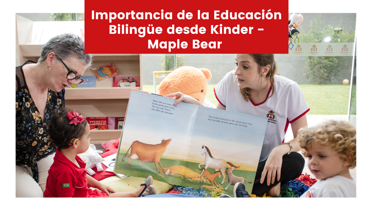 En este momento estás viendo Importancia de la Educación Bilingüe desde Kinder | Maple Bear