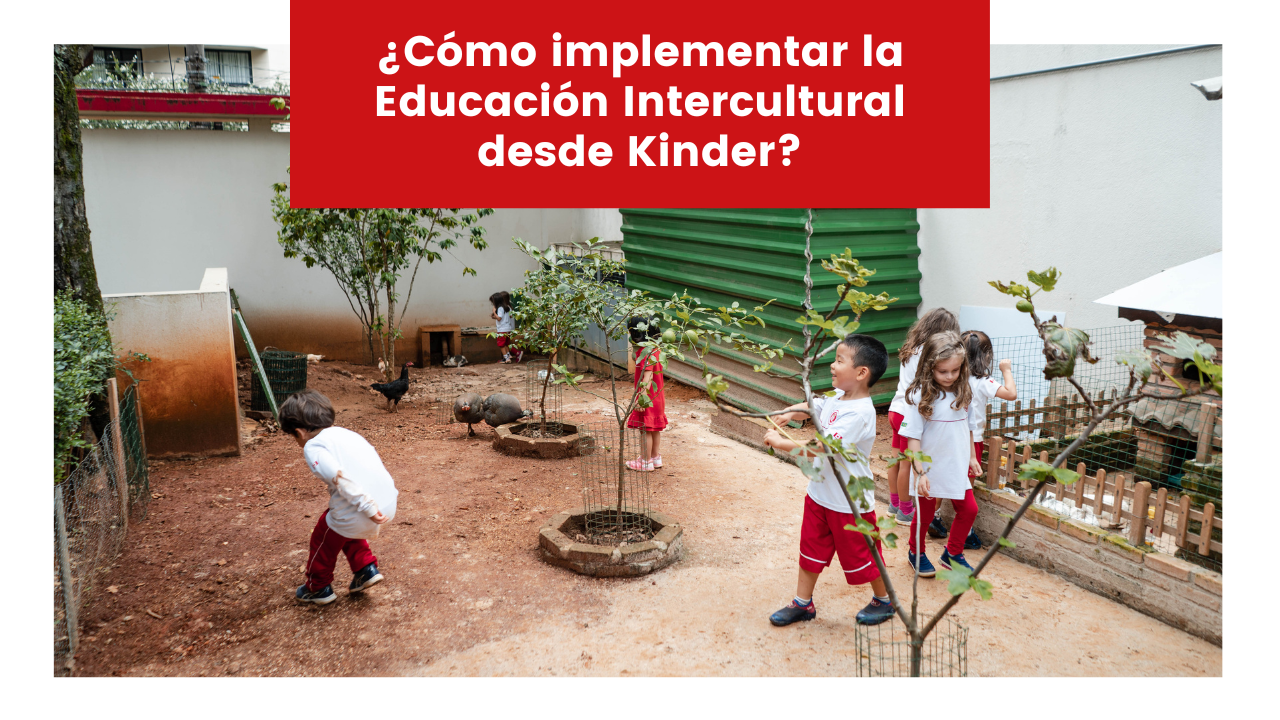 Lee más sobre el artículo ¿Cómo implementar la Educación Intercultural desde Kinder?