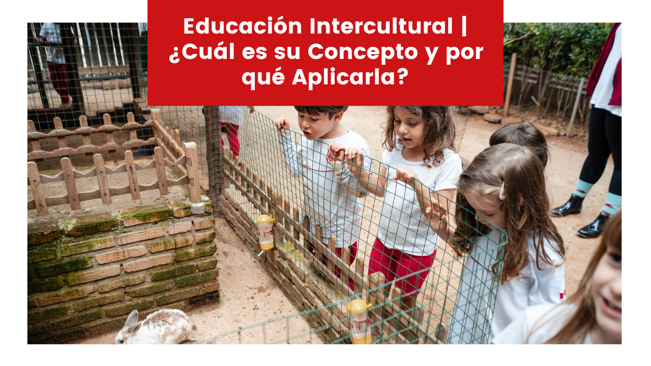 Lee más sobre el artículo Educación Intercultural | ¿Cuál es su Concepto y por qué Aplicarla?