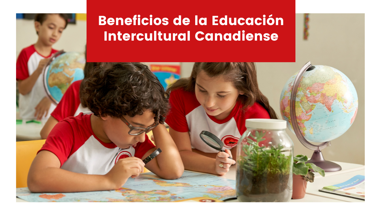 You are currently viewing Beneficios de la Educación Intercultural Canadiense