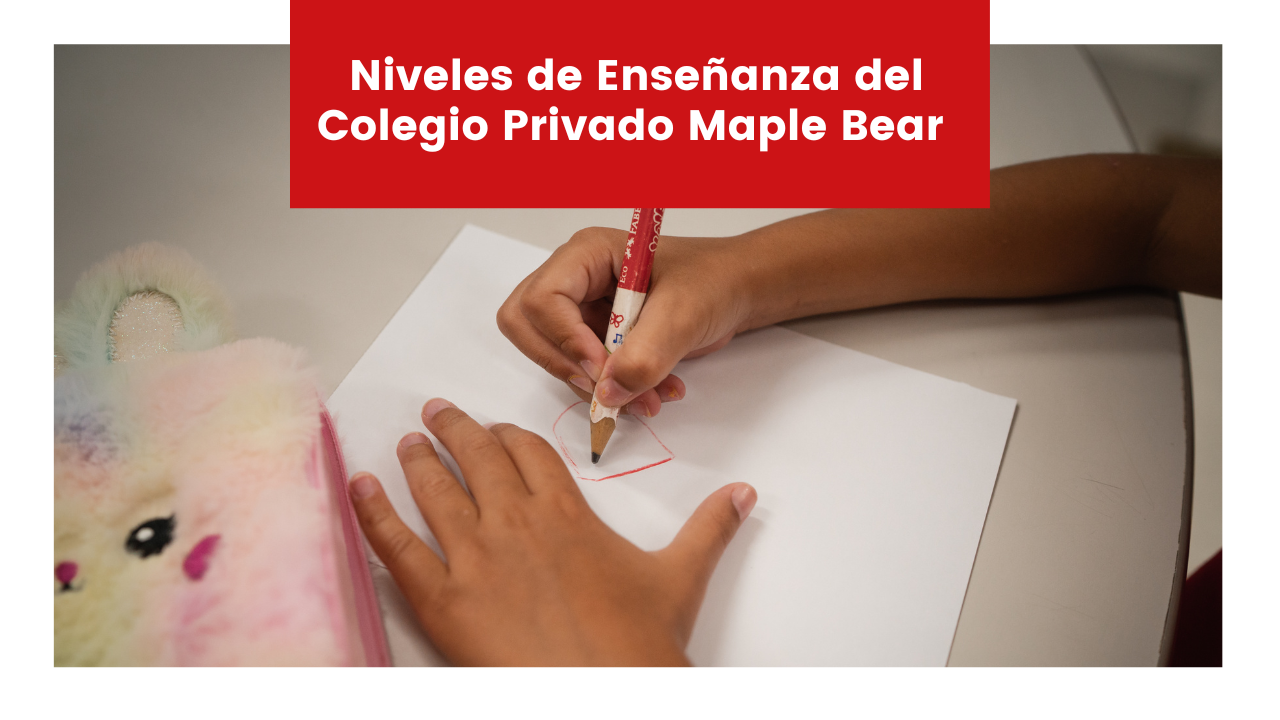 You are currently viewing Niveles de Enseñanza del Colegio Privado Maple Bear