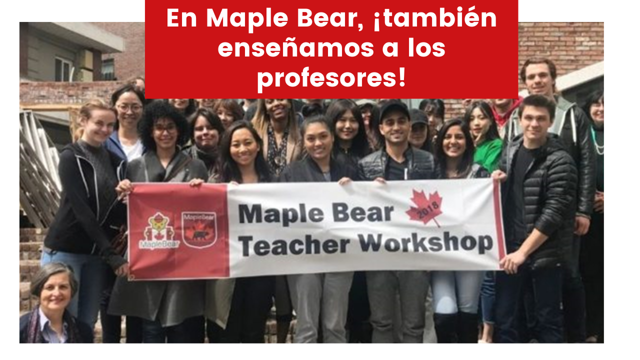 En Maple Bear, ¡también enseñamos a los profesores!
